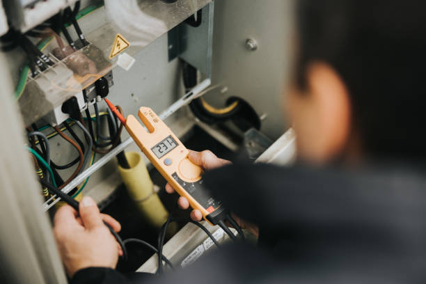 Best Electric Panel Repair  in Goodview, MN